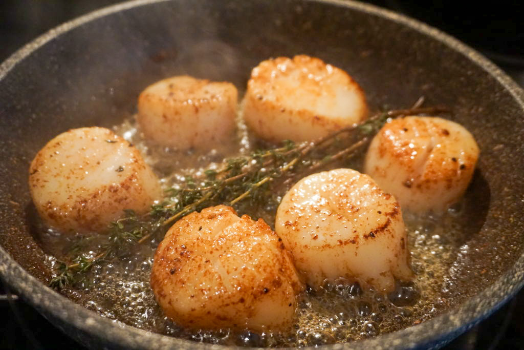 cooked sea scallops 