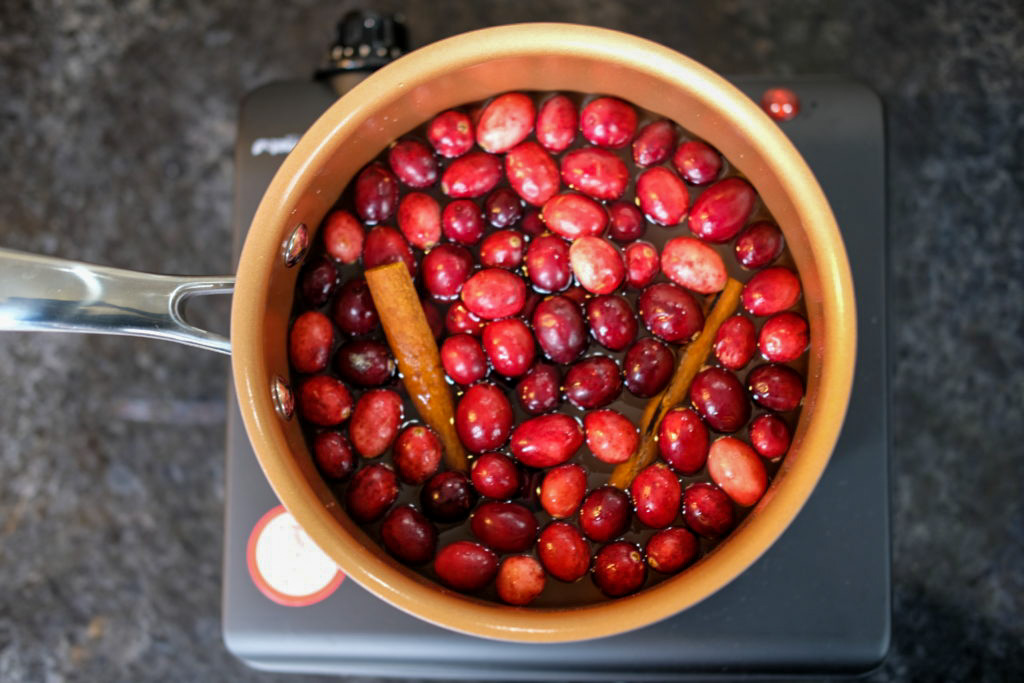 close-up of the cranberry and cinnamon sticks 